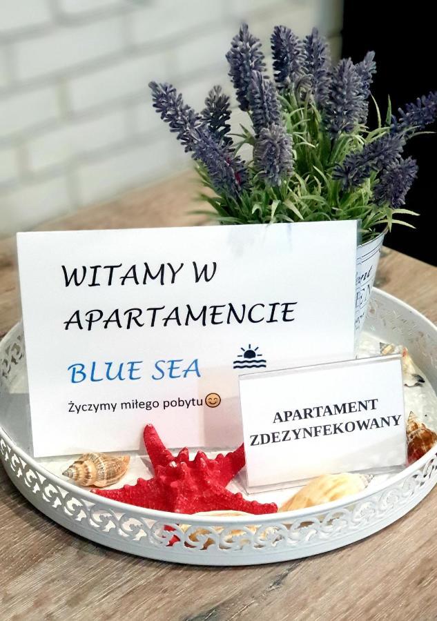 Blue Sea Apartament Lesne Tarasy Дзівнувек Екстер'єр фото
